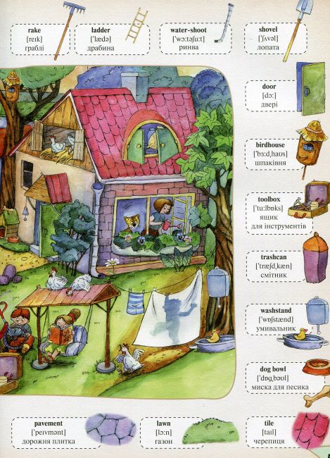 Моя перша 1000 англійських слів 3+ Словники у картинках Vivat - фото 4