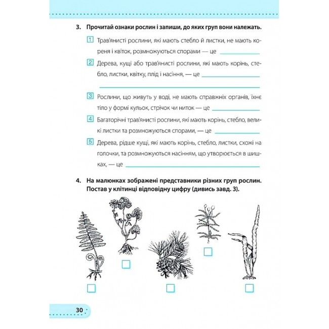 Робочий зошит Я досліджую світ 3 клас НУШ До підручника Н. Бібік Авт: Жаркова І. Мечник Л. Вид-во: Підручники і посібники - фото 8