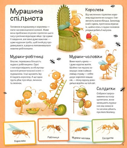 Світ мурах - фото 5