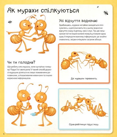 Світ мурах - фото 6