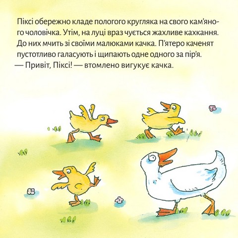 Качина школа - фото 4