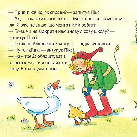 Качина школа - фото 6