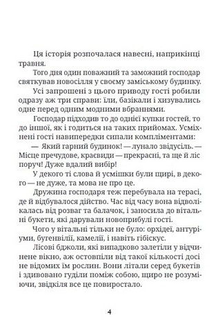 Про домовичка Тьому, лісовика Дем’яна та кота Баобаба - фото 3