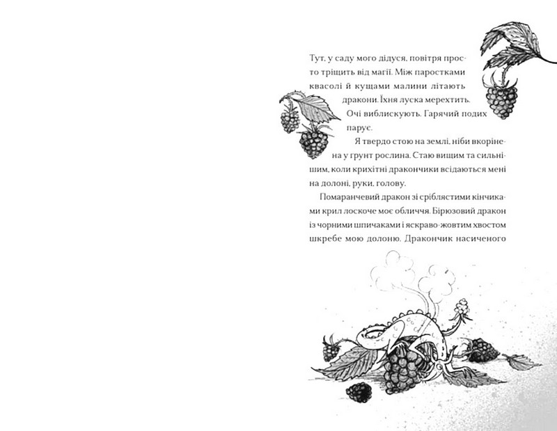 Хлопчик, який співав з драконами. Книга 5 - фото 2