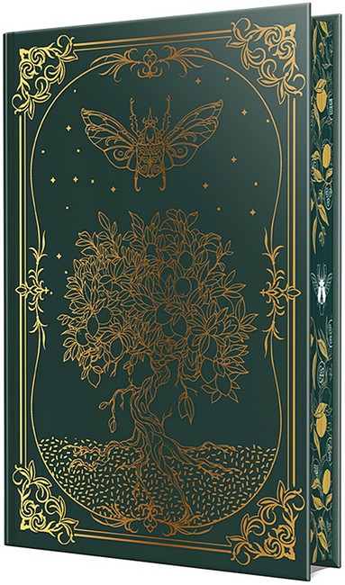 Остання Фінестра. Книга 1. Це безжальне благословення - фото 2