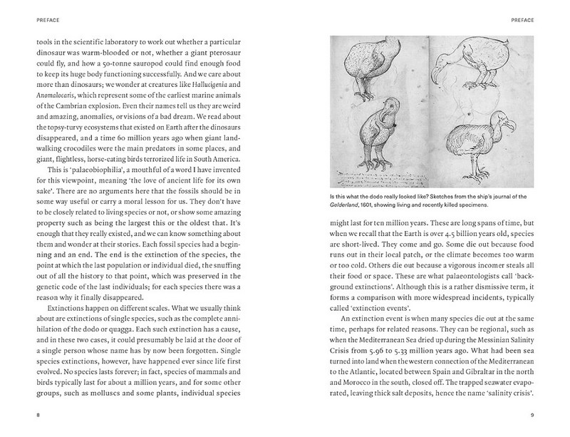 Extinctions. How Life Survives, Adapts and Evolves - фото 5