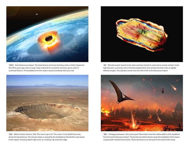 Extinctions. How Life Survives, Adapts and Evolves - фото 10