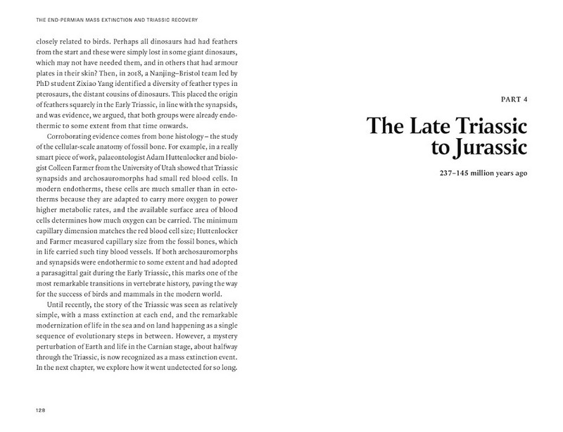 Extinctions. How Life Survives, Adapts and Evolves - фото 11