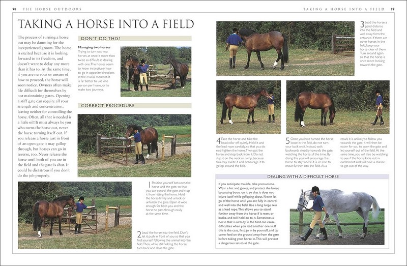 Complete Horse Care Manual - фото 6
