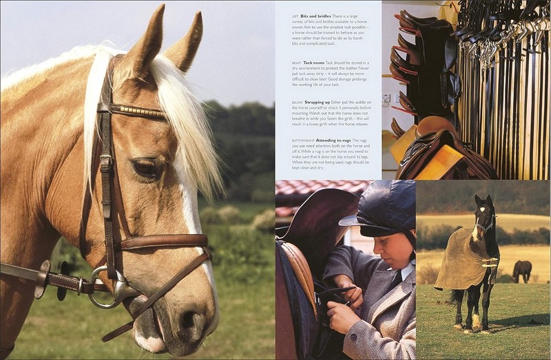 Complete Horse Care Manual - фото 10