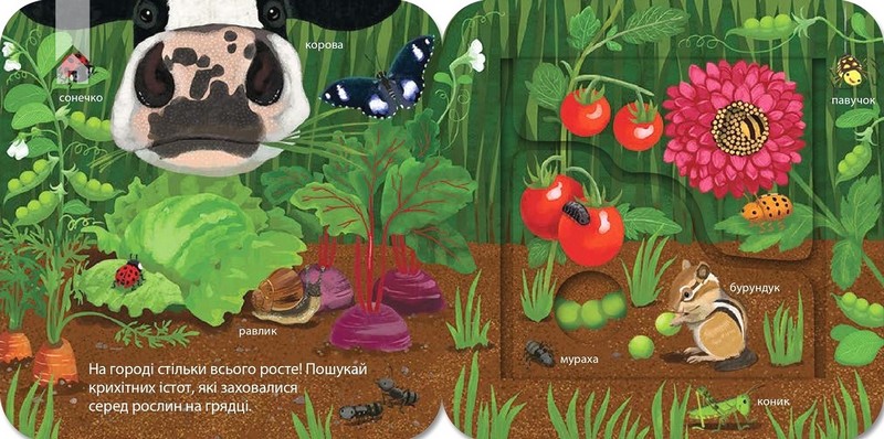 Хто живе на фермі? Зазирни у віконечко - фото 3