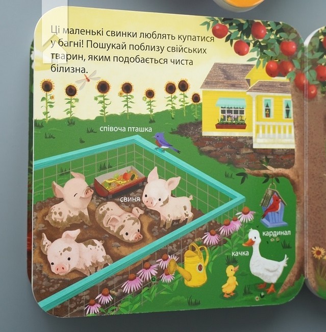 Хто живе на фермі? Зазирни у віконечко - фото 5