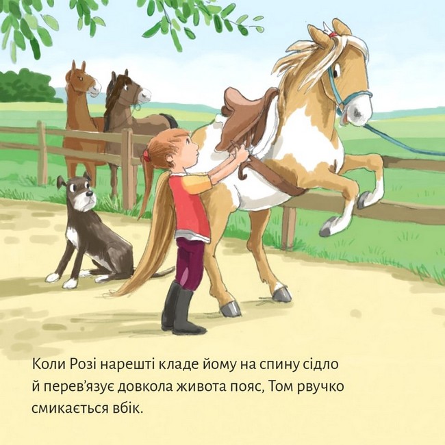 Лоскітливий поні - фото 4