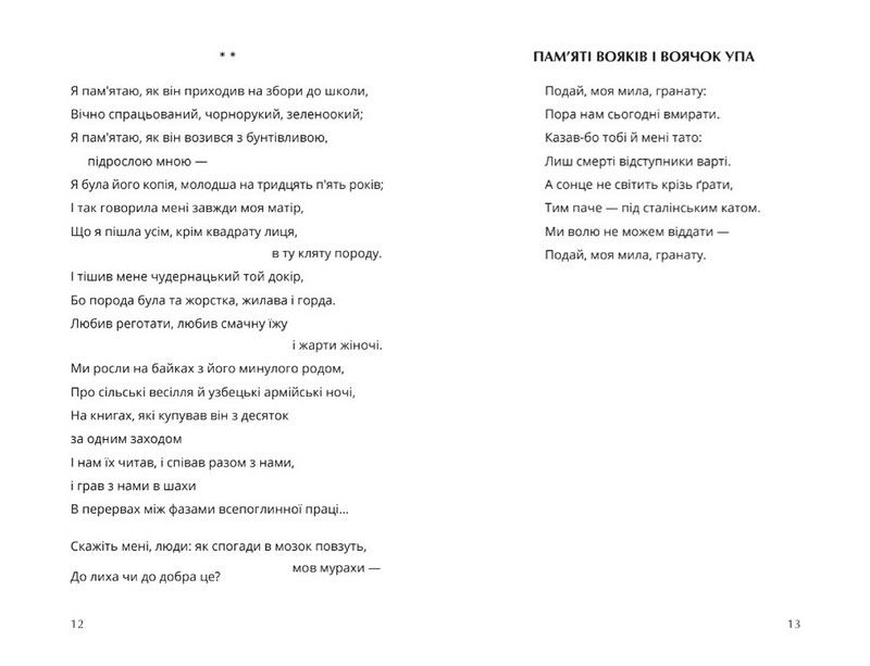 Двоїна - фото 5