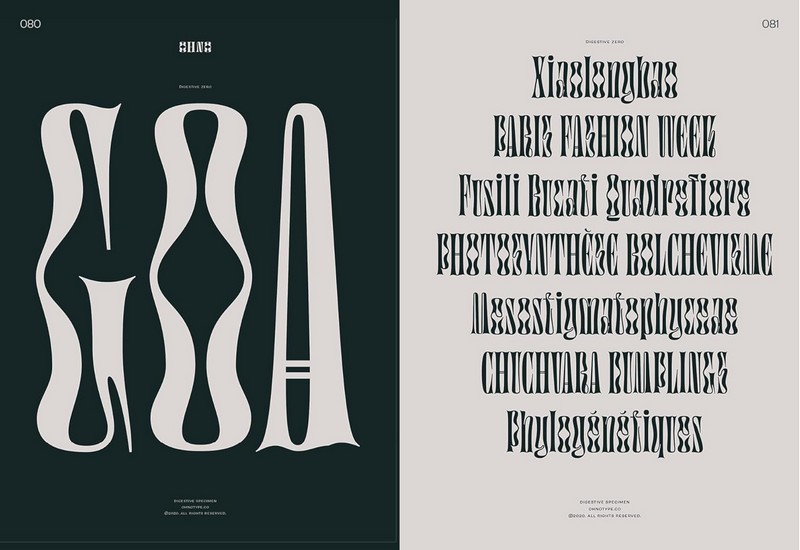 Serif in Use. A Collection of Serif Typefaces - фото 3