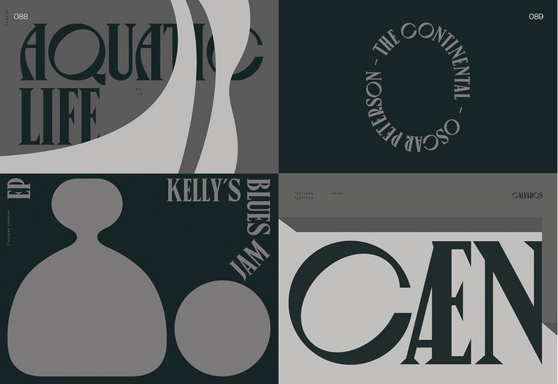 Serif in Use. A Collection of Serif Typefaces - фото 7