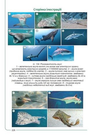 Підручник Біологія 7 клас НУШ Авт: Соболь В.І. Вид-во: Абетка - фото 11