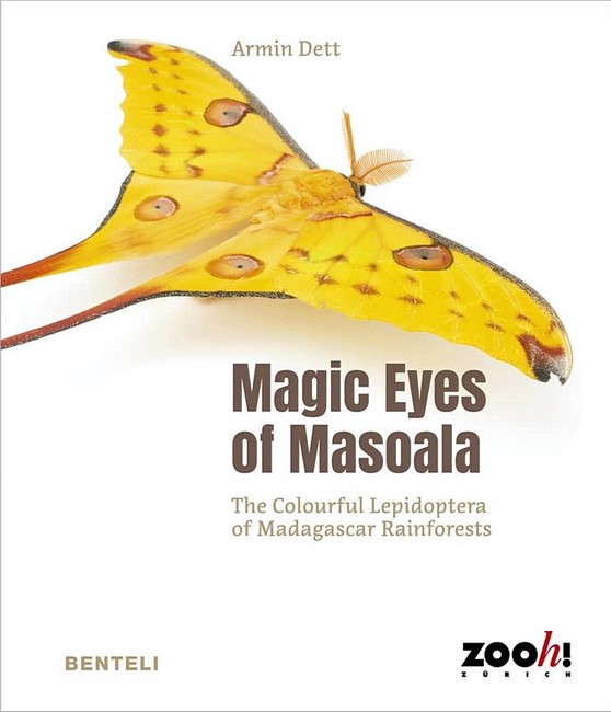 Magic Eyes of Masoala. The Colourful Lepidoptera of Madagascar Rainforests - фото 1