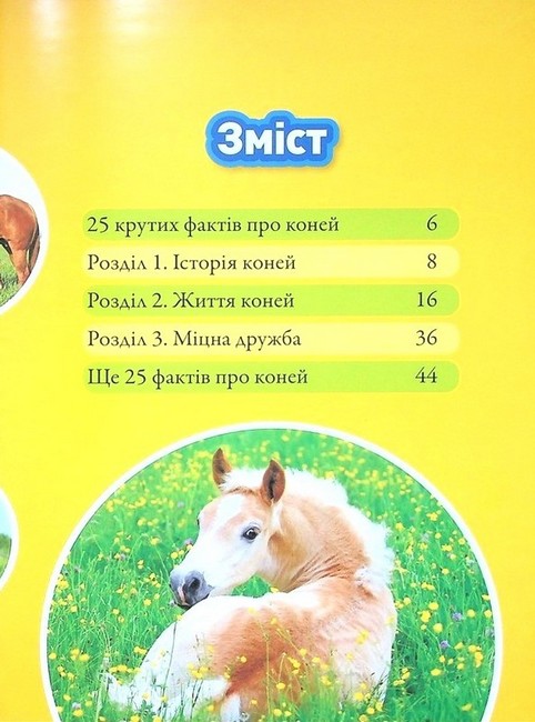 National Geographic Kids Галопом! 100 цікавих фактів про коней Авт: Кітсон Язинка Вид-во: Егмонт - фото 2