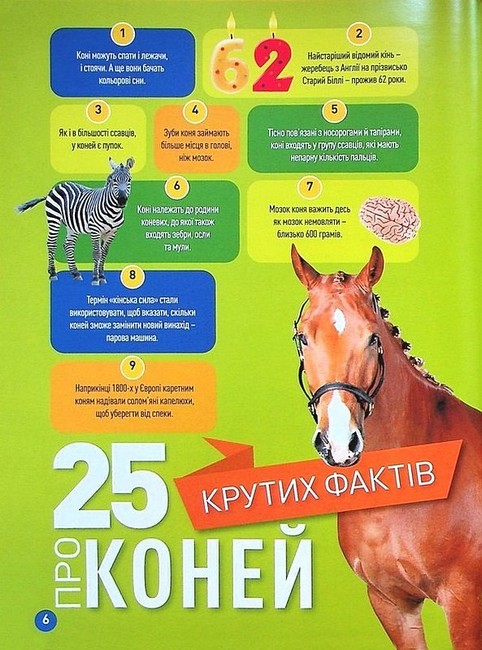 National Geographic Kids Галопом! 100 цікавих фактів про коней Авт: Кітсон Язинка Вид-во: Егмонт - фото 3