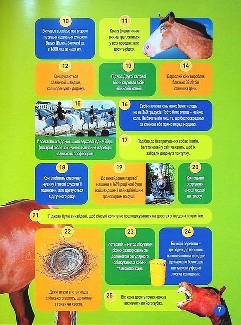 National Geographic Kids Галопом! 100 цікавих фактів про коней Авт: Кітсон Язинка Вид-во: Егмонт - фото 4