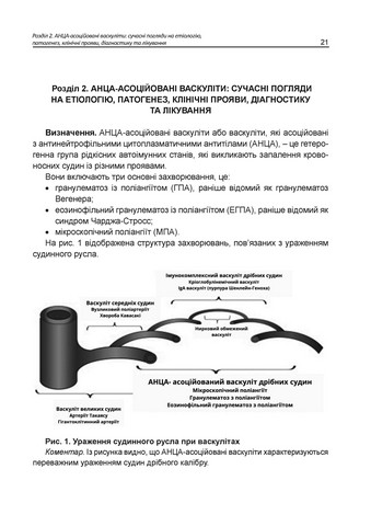 АНЦА-асоційовані васкуліти Авт: Катеренчук І.П. Гуцаленко O.O. Ярмола T.І. Вид-во: Медкнига - фото 6