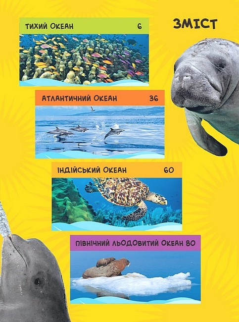 National Geographic Kids Моя перша енциклопедія Океани Авт: Кетрін Д. Гюз Вид-во: Егмонт - фото 2