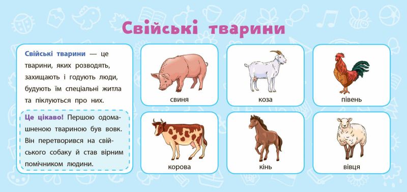 Навчальні міні-плакати Я досліджую світ 2 клас НУШ Авт: Сікора Ю.О. Вид-во: УЛА - фото 4