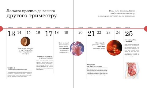 Вагітність день за днем Авт: Меґґі Блотт Вид-во: Ранок - фото 7