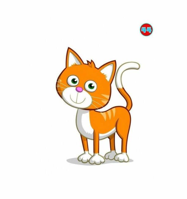 Флеш-картки Quick Minds Англійська мова 2 клас НУШ Г. Пухта Лінгвіст - фото 4