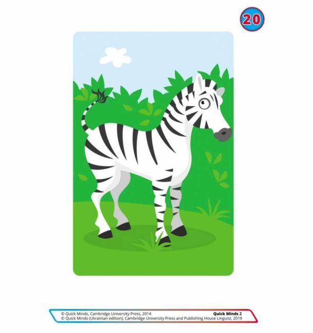 Флеш-картки Quick Minds Англійська мова 2 клас НУШ Г. Пухта Лінгвіст - фото 3