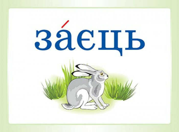 Комплект плакатів Словникові слова в ребусах 2 клас НУШ Харченко О. Основа - фото 3