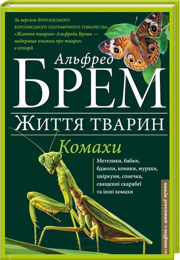 Життя тварин Комахи - фото 1