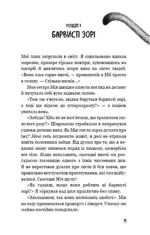Діти лісу Книга 2 Небезпечна дружба Авт: Катя Брандіс Вид-во: Book Chef - фото 3
