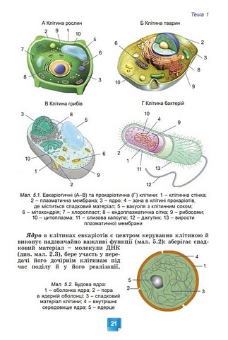 Підручник Біологія 7 клас НУШ Авт: Балан П. та ін. Вид-во: Генеза - фото 10