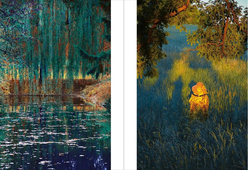 The Tapestry Авт: Erik Madigan Heck Вид-во: Thames and Hudson - фото 6