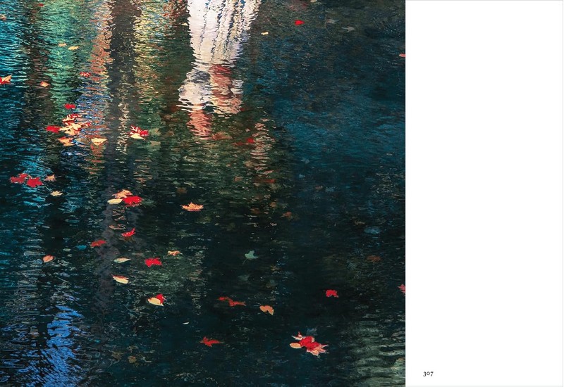 The Tapestry Авт: Erik Madigan Heck Вид-во: Thames and Hudson - фото 11
