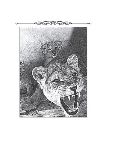 Весела наука Авт: Фрідріх Ніцше Вид-во: Фоліо - фото 6