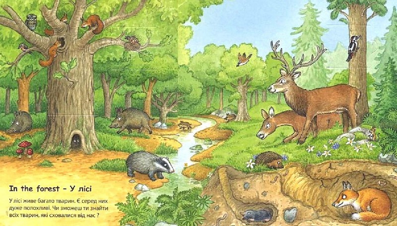My First English Words Animals / Тварини Авт: Мірко Бюлер Вид-во: Методика Паблішинг - фото 2