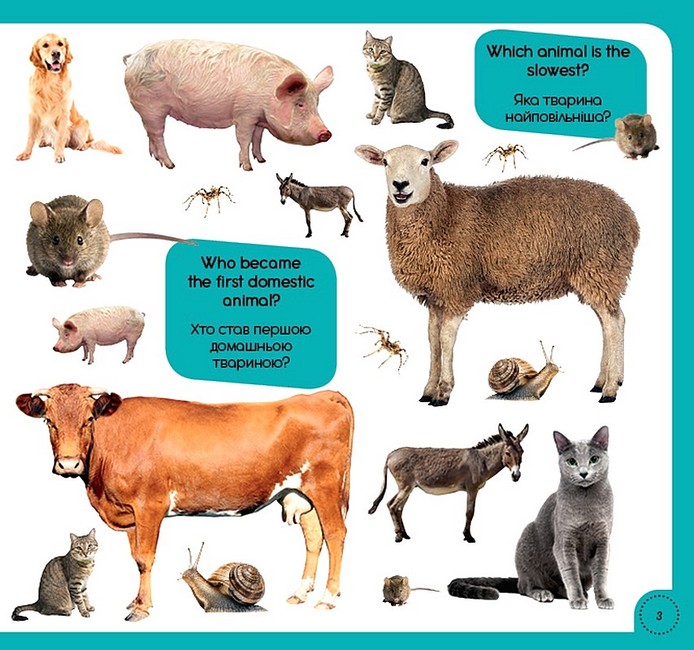 100 words about animals of the world / 100 слів про тварин світу Авт: Тетяна Кузьменко Вид-во: Сова - фото 3