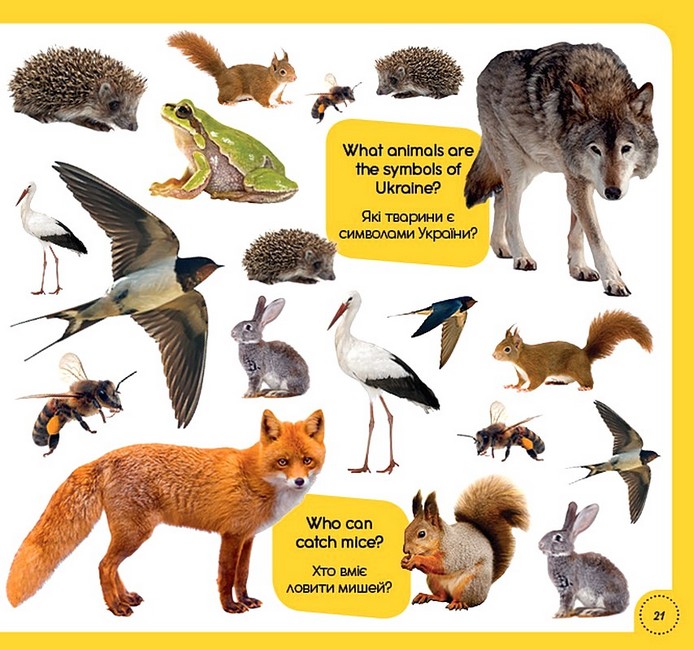100 words about animals of the world / 100 слів про тварин світу Авт: Тетяна Кузьменко Вид-во: Сова - фото 5