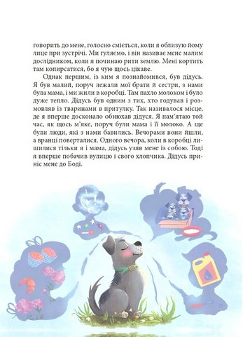 Мрія Сірка Оповідання для дітей про людяність, сміливість і здійснення мрій Авт: Катерина Дубойська Вид-во: 4mamas - фото 4