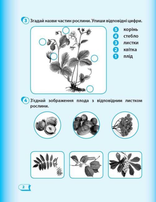 Робочий зошит Я досліджую світ 1 клас Частина 2 НУШ До підручника Гільберг Т.В. та ін. Авт: Назаренко А.А. Вид-во: Ранок - фото 3