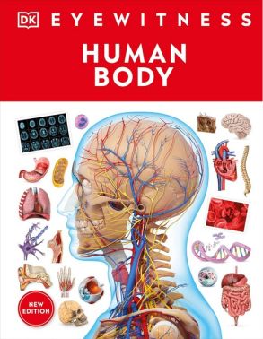 Human Body Авт: Richard Walker Вид-во: DK