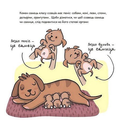 Це - пеніс! Авт: Анна Сальвія Крістіна Торрон  Вид-во: 4mamas - фото 2