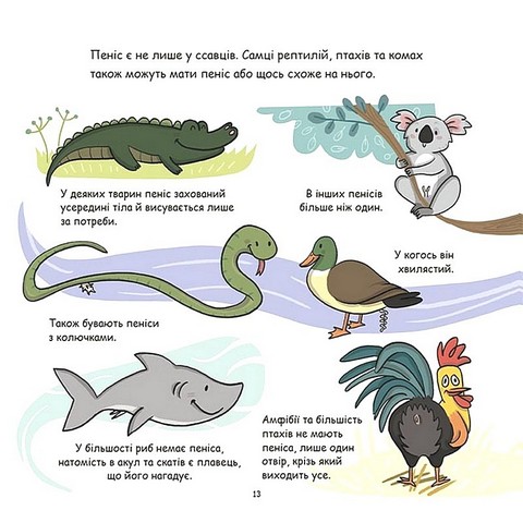 Це - пеніс! Авт: Анна Сальвія Крістіна Торрон  Вид-во: 4mamas - фото 3