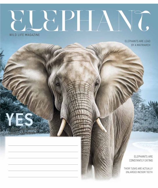 Зошит учнівський, 18арк., у клітинку, ВД-лак, Star - фото 4