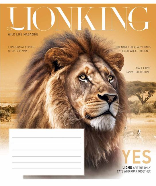 Зошит учнівський, 18арк., у клітинку, ВД-лак, Star - фото 5