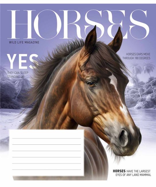 Зошит учнівський, 18арк., у клітинку, ВД-лак, Star - фото 6