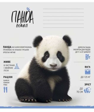 Зошит учнівський, 12арк., у лінію, ВД-лак, Школярик Зошит учнівський, 12арк., у лінію, ВД-лак, Школярик